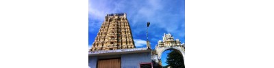 237. திருக்கச்சியேகம்பகம்